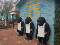 -漳州滨海火山岛自然生态风景区
