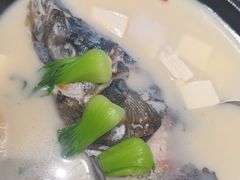-7017浙菜•建德味(中财店)