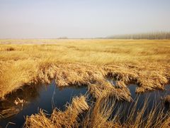 -野鸭湖国家湿地公园