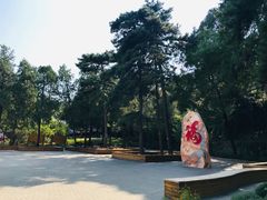 -北京鹫峰国家森林公园