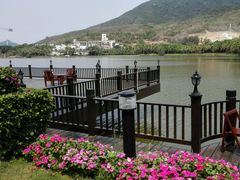 android_upload_pic-三亚亚龙湾金棕榈度假酒店