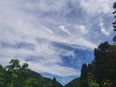 -武陵山森林公园