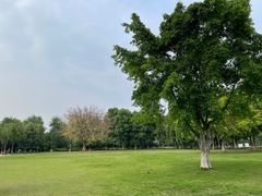 -眉山湿地公园(东坡区)