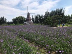 -渔岛海洋度假区