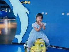 -泉城欧乐堡海洋极地世界