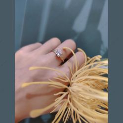 点击看大图 -金夫人婚纱摄影(衡阳店)