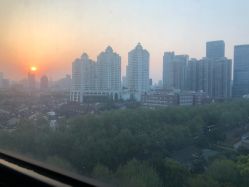 -海豚湾高端月子会所(黄浦店)