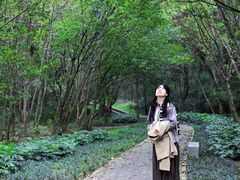 -青龙山国家森林公园
