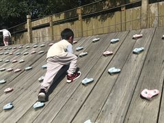 -加蒙特森林幼儿园(广州市增城区店)
