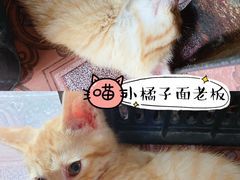 -老地方面馆(思南路店)
