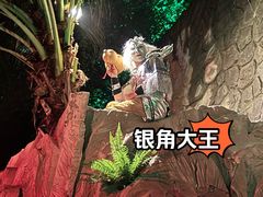 -成都欢乐谷