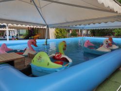 -萌宠亲子动物乐园(槐房万达店)