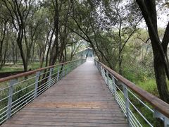 -西湖风景区-江洋畈生态公园