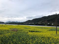 -新安江山水画廊风景区