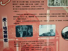 -北京动物园-畅观楼