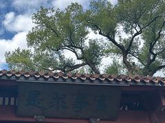 -苏启渔港(云南北路店)