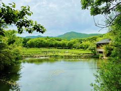 -中国茶叶博物馆(双峰馆区)
