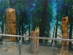 -延庆地质公园博物馆