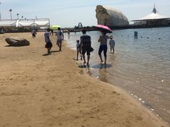 -碧海金沙