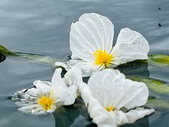 -丽江泸沽湖景区