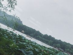 -湖畔居茶楼(湖滨店)