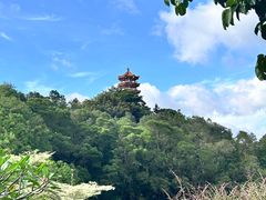 -深圳仙湖植物园