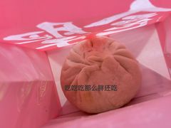 手工鲜肉包-堂上堂(益民街店)