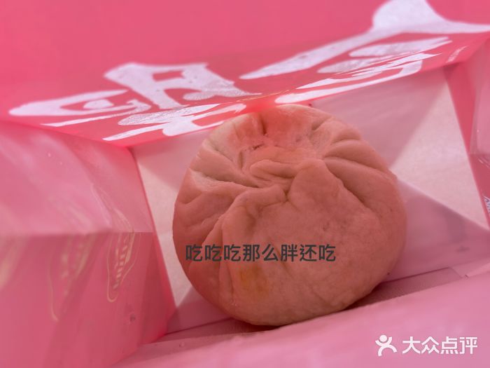 堂上堂(益民街店)手工鲜肉包图片