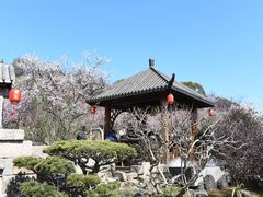 -无锡梅园公园