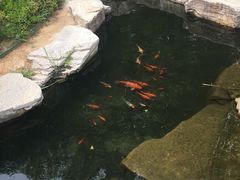 -羊亭河湿地公园