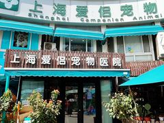 -爱侣宠医·鹦鹉专科·小型哺乳类·异宠专科(灵石路店)