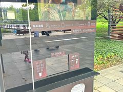 -大望京公园