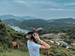 -大姆山草场