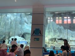 -帝企鹅自助餐厅•儿童岛•真企鹅(长隆企鹅酒店)