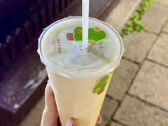 -猫的魔法密林(衣裳街店)