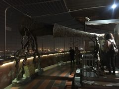 景点-中央广播电视塔