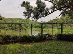 -深圳仙湖植物园-停车场
