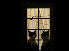 -三鹰之森吉卜力美术馆