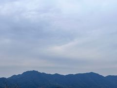 -十八棵（老龙井）御茶园(老龙井店)