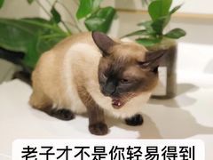 -Double Rui宠物酒店