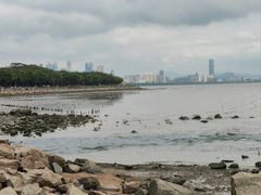 -深圳湾公园(南山区)