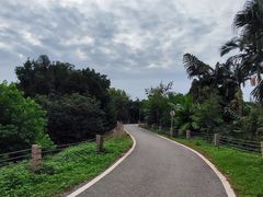 -南宁良凤江国家森林公园