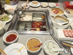-海底捞火锅(赛格国际购物中心店)