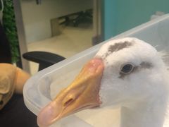 -雨林宠物医院 非犬猫异宠专科