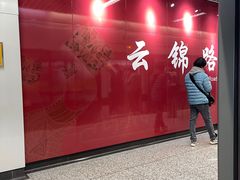 -云锦路(地铁站)