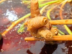 -石灰市毛记烧鸡公(解放碑店)
