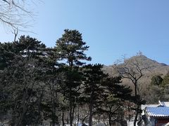 -阳台山自然风景区