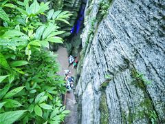 -梦幻奥陶纪景区