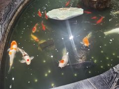 -裕丰源滋补烩面(天赋路店)