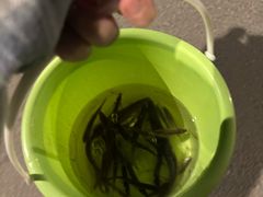 -吴江第一家万州烤鱼